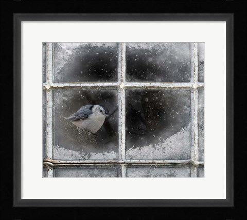 Framed Frosty Print