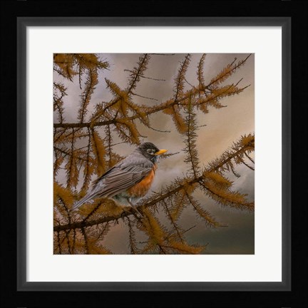 Framed Early Bird Print