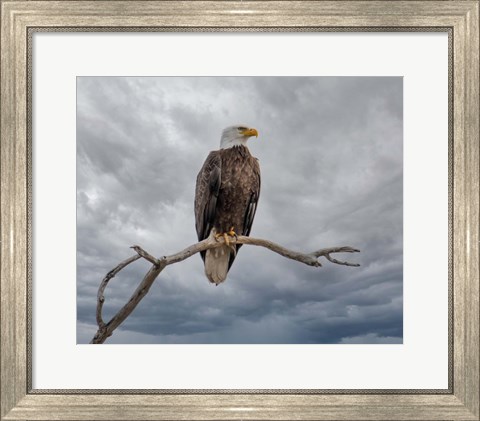 Framed Above It All Print