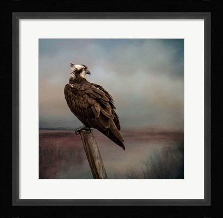 Framed Perfect Calm Print