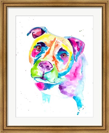 Framed Colorful Pitbull Print