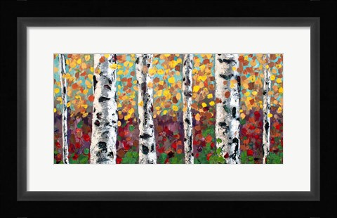 Framed Aspens in Color Print