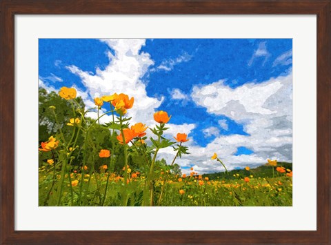 Framed California Poppies Print