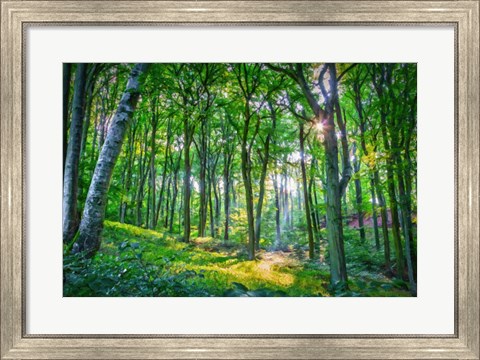Framed Emerald Forest Print