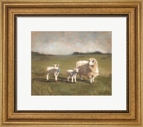 Framed Sheep in the Pasture III Print