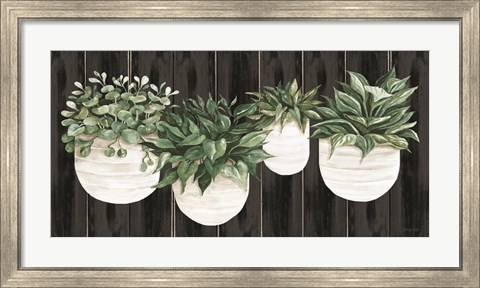 Framed Potted Plants on Barnwood Print