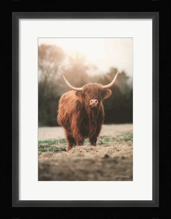 Framed Portrait of a Cow Print