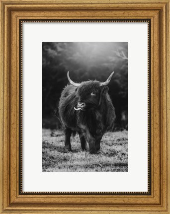 Framed Silly Cow I Print