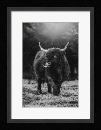 Framed Silly Cow I Print