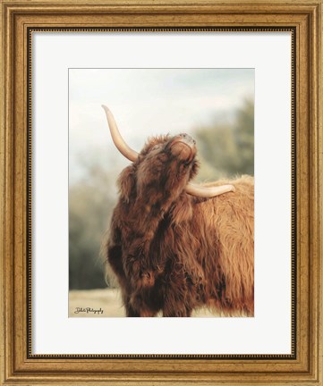 Framed Itchy Cow II Print