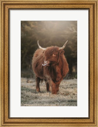 Framed Silly Cow II Print