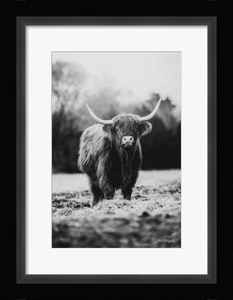 Framed Portrait of a Cow Print