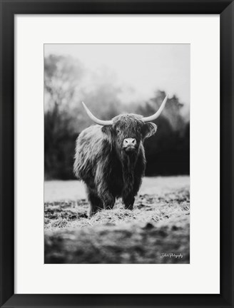 Framed Portrait of a Cow Print