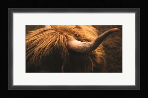 Framed Highland Horn III Print