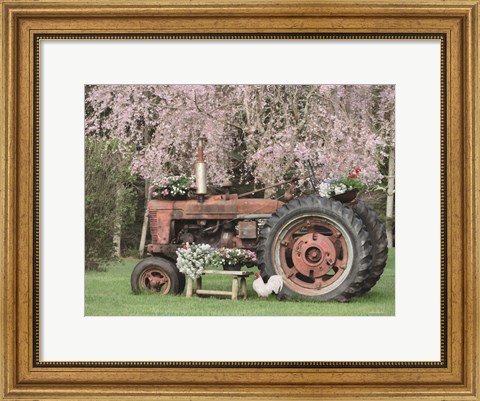 Framed Rooster in the Spring Print