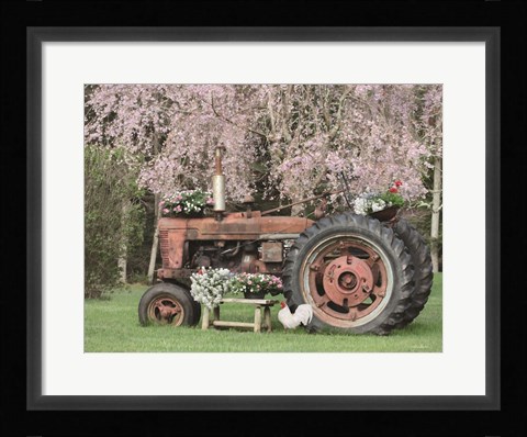 Framed Rooster in the Spring Print