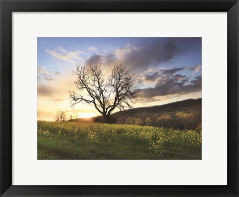 Framed Clark Valley Sunset Print