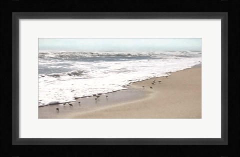 Framed Sandpipers Print