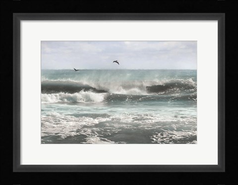 Framed Sea Birds Among the Waves Print