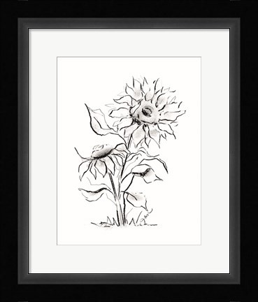 Framed Sunflower Charcoal Sketch Print