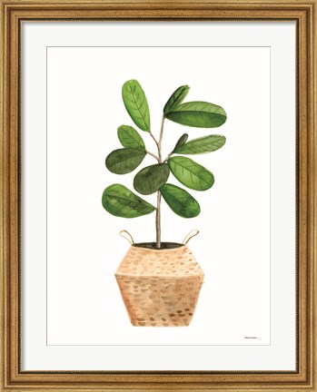 Framed Basket Planter 1 Print