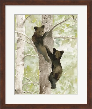 Framed Bear Cub in Tree 1 Print