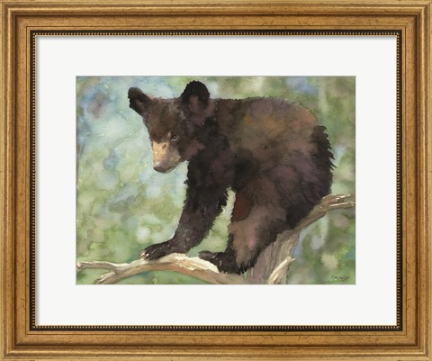 Framed Bear Cub in Tree 2 Print