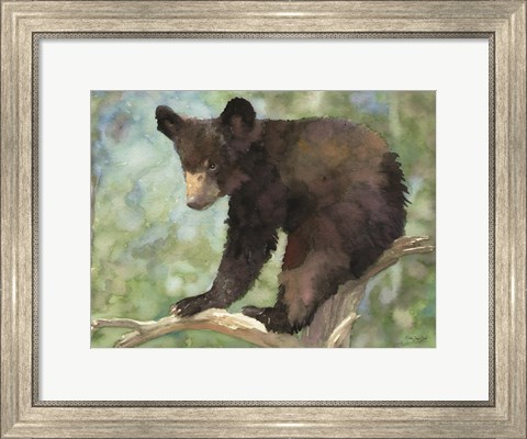 Framed Bear Cub in Tree 2 Print