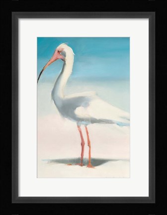 Framed Boca Ibis Print