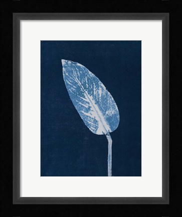 Framed Calathea Blue Print