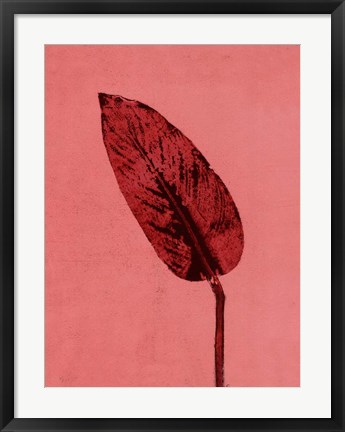 Framed Calathea Red Print