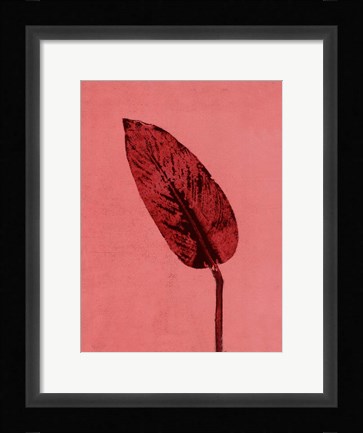 Framed Calathea Red Print