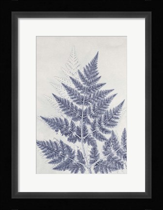 Framed Chevril 1 Print