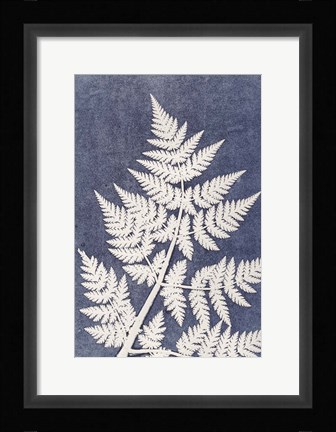 Framed Chevril 3 Print