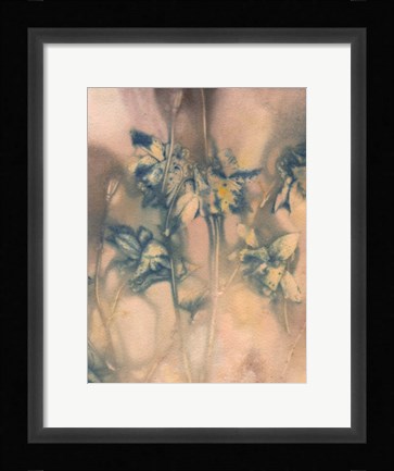 Framed Columbine 1 Blue Print