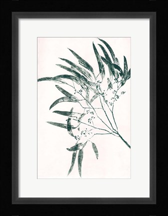 Framed Eucalyptus 2 Green Print