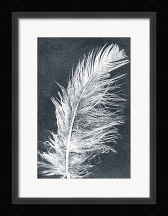 Framed Feather 1 Dark Print