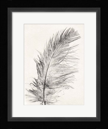 Framed Feather 1 Light Print
