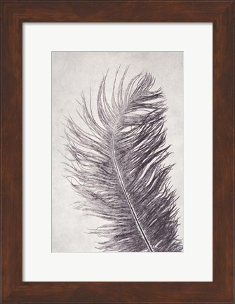 Framed Feather 4 Light Print