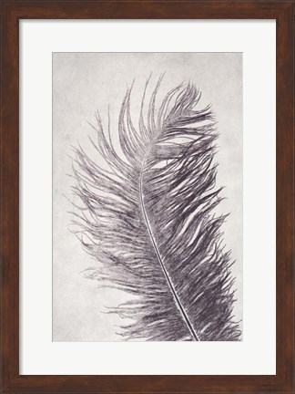 Framed Feather 4 Light Print