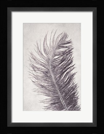 Framed Feather 4 Light Print