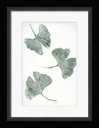 Framed Ginkgo 1 Green Print