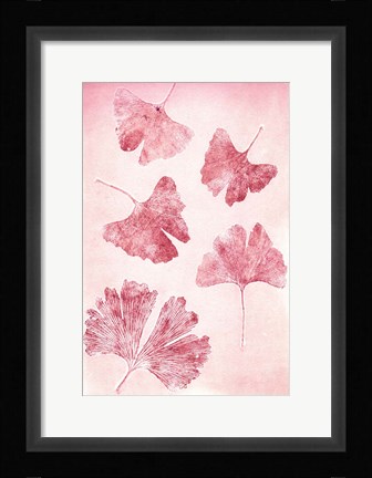 Framed Ginkgo 4 Sorbet Print