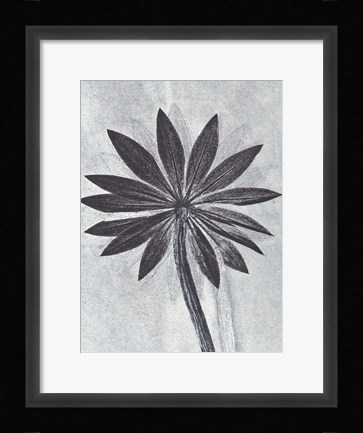 Framed Lupine Smoke Print