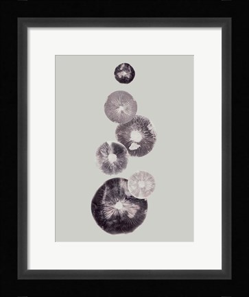 Framed Mushroom Light Grey Print