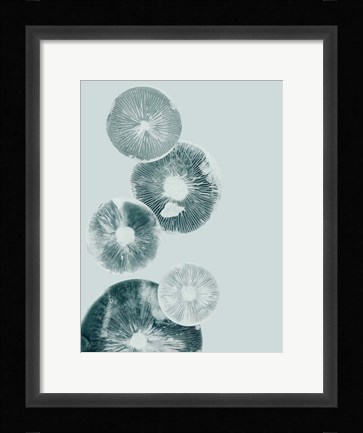 Framed Mushroom Light Teal Print