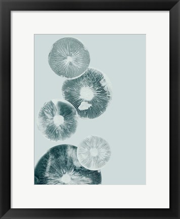 Framed Mushroom Light Teal Print