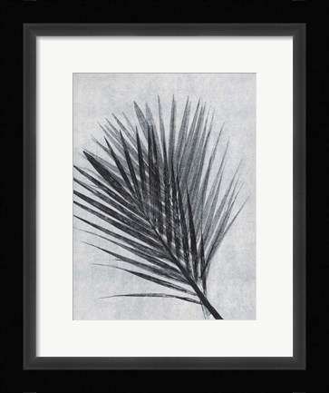 Framed Palm 1 Grey Print