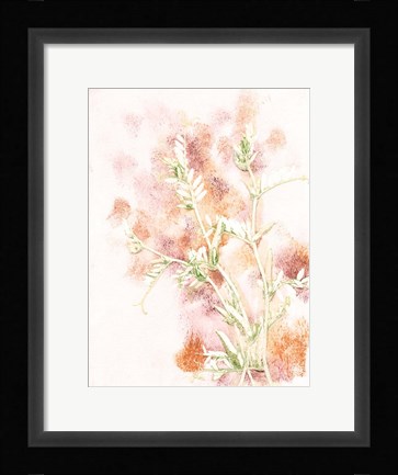 Framed Vicia 2 Multi Print