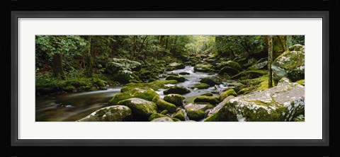 Framed River running through a forest, Tennessee Print